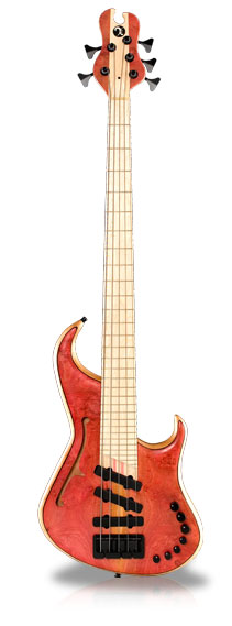goncolo alves bass