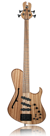 six string bass